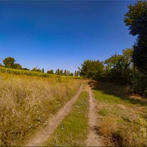 Земельна ділянка W-7440137, Кузьминці - Фото 7