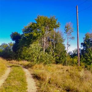 Земельна ділянка W-7440137, Кузьминці - Фото 8