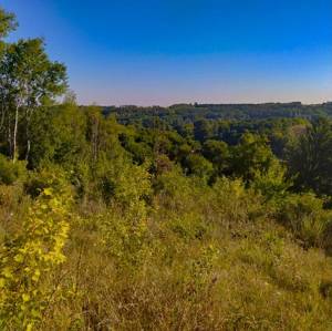 Земельна ділянка W-7440137, Кузьминці - Фото 10