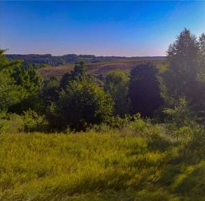 Земельна ділянка W-7440137, Кузьминці - Фото 5