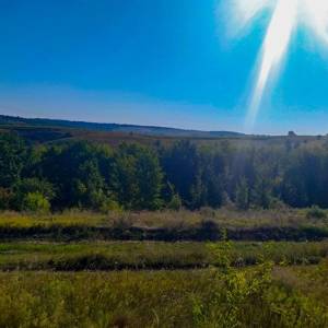 Земельна ділянка W-7440137, Кузьминці - Фото 4