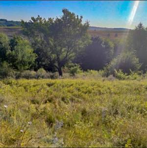 Земельна ділянка W-7440137, Кузьминці - Фото 12