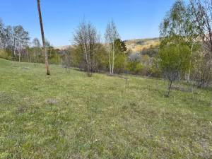 Земельный участок W-7440137, Кузминцы - Фото 15