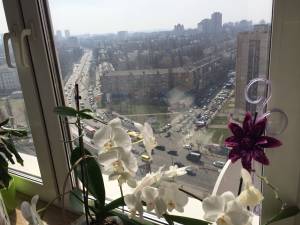 Квартира W-7412332, Чоколовский бул., 42а, Киев - Фото 8