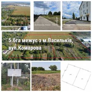 Land W-7242595, Komarova, Vasylkiv - Photo 1