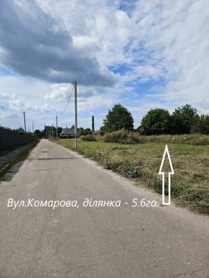 Land W-7242595, Komarova, Vasylkiv - Photo 2
