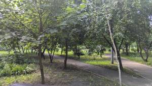 Квартира W-7421159, Драгоманова, 12а, Киев - Фото 7