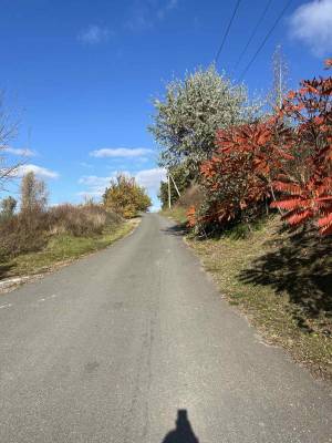 Дом W-7421321, Подгорцы - Фото 1