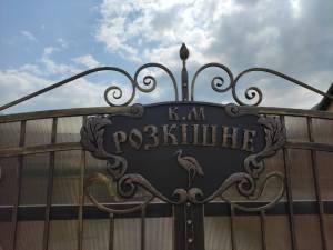 Дом W-7441649, Роскошная, Романков - Фото 10