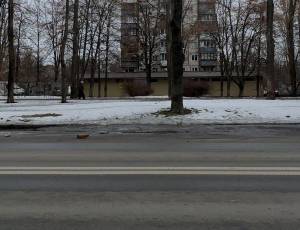  Торгово-офісне приміщення, W-7440616, Поповича Мирослава (Семашка), 8а, Київ - Фото 3