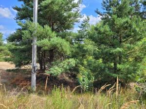 Земельна ділянка W-7440345, Сікорського, Гореничі - Фото 3