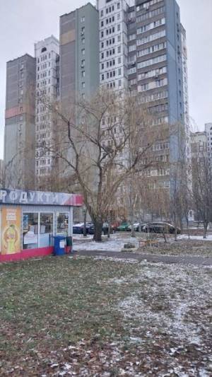 Квартира W-7342908, Єфремова Академіка (Уборевича Командарма), 27, Київ - Фото 17