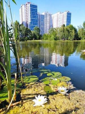 Квартира W-7365554, Бабича Гліба (Канальна), 8, Київ - Фото 7