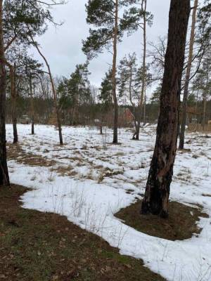 Земельна ділянка W-7419295, Ірпінь - Фото 2