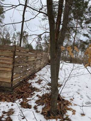 Земельна ділянка W-7419295, Ірпінь - Фото 4