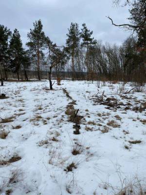 Земельна ділянка W-7419295, Ірпінь - Фото 1