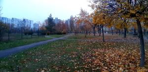 Квартира W-7425758, Рейгана Рональда (Драйзера Теодора), 36, Київ - Фото 1