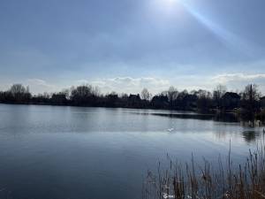 Дом W-7444135, 2-й Тупиковый пер., Киев - Фото 4