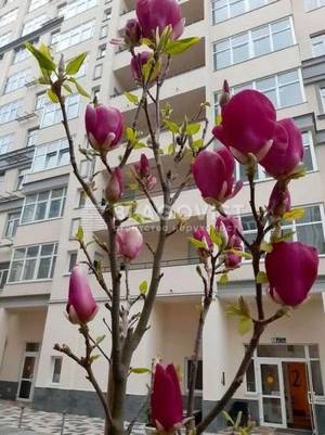 Квартира W-7424202, Краковская, 4б, Киев - Фото 8