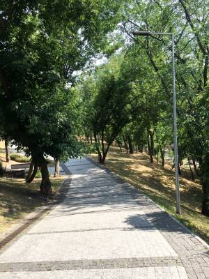 Квартира W-7348928, В.Житомирська, Київ - Фото 12