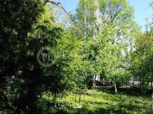 Квартира W-7437566, Лысенко, 1, Киев - Фото 13