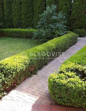 Будинок W-7419136, Осокорська, Київ - Фото 5