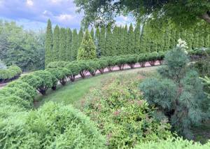 Будинок W-7129994, Соборна, Гореничі - Фото 19