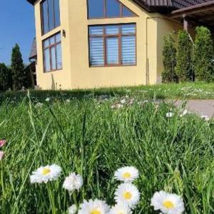 Будинок W-7241796, Армійська, Київ - Фото 2