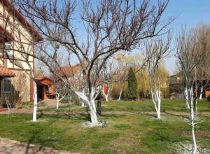 Дом W-7294587, Бабича Глеба (Канальная), Киев - Фото 12