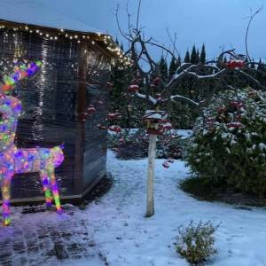 Дом W-7294605, Орхидейная, Киев - Фото 14