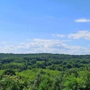 Дом W-7307081, Столичное шоссе, Киев - Фото 6