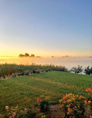 Будинок W-7344699, 7-ма Абрикосова, Київ - Фото 22