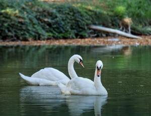 Квартира W-7426391, Вишгородська, 45, Київ - Фото 25