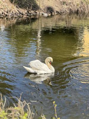 Квартира W-7426391, Вышгородская, 45, Киев - Фото 4