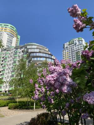 Квартира W-7426391, Вишгородська, 45, Київ - Фото 27