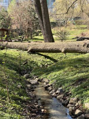 Квартира W-7426391, Вышгородская, 45, Киев - Фото 3