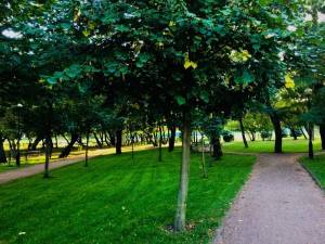 Квартира W-7426391, Вишгородська, 45, Київ - Фото 23