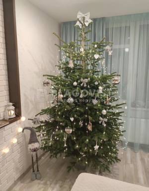 Квартира W-7437541, Наумовича Володимира (Антонова-Овсієнка), 4а, Київ - Фото 5