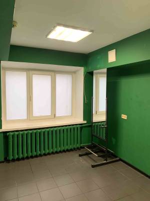  Нежилое помещение, W-7429325, Гончара Олеся, 46, Киев - Фото 11