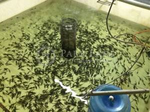  Склад, W-7445535, Набережно-Корчеватская, 2, Киев - Фото 3