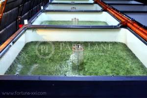  Склад, W-7445535, Набережно-Корчеватская, 2, Киев - Фото 1