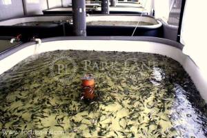  Склад, W-7445535, Набережно-Корчеватская, 2, Киев - Фото 2