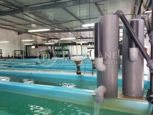  Склад, W-7445535, Набережно-Корчеватская, 2, Киев - Фото 4