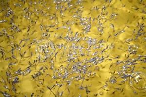  Склад, W-7445535, Набережно-Корчеватская, 2, Киев - Фото 6