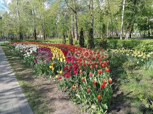 Квартира W-7370844, Воскресенская, 18а, Киев - Фото 13