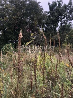 Земельный участок W-7448094, Виноградный пер., Киев - Фото 4