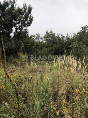 Земельный участок W-7448094, Виноградный пер., Киев - Фото 2