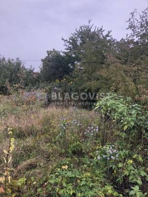 Земельный участок W-7448094, Виноградный пер., Киев - Фото 3