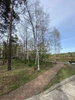 Земельна ділянка W-7269668, Набережна, Лебедівка (Вишгородський) - Фото 9