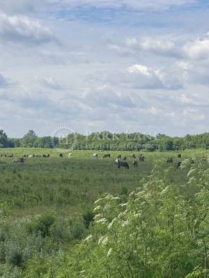 Земельный участок W-7390749, Горенка - Фото 5